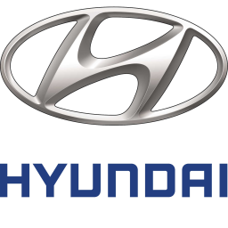 OEM cap fits for Hyundai brand logo