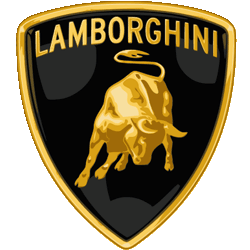 OEM cap fits for Lamborgini brand logo