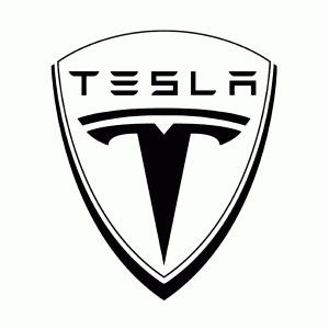 OEM cap fits for Tesla brand logo